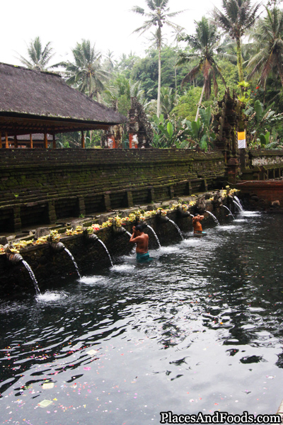 Bali Spring Water Temple