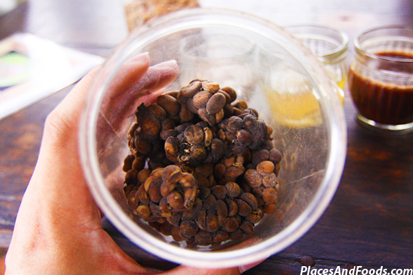Luwak Cofee Indonesia