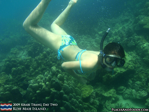 Snorkelling at Koh Mah Island Trang