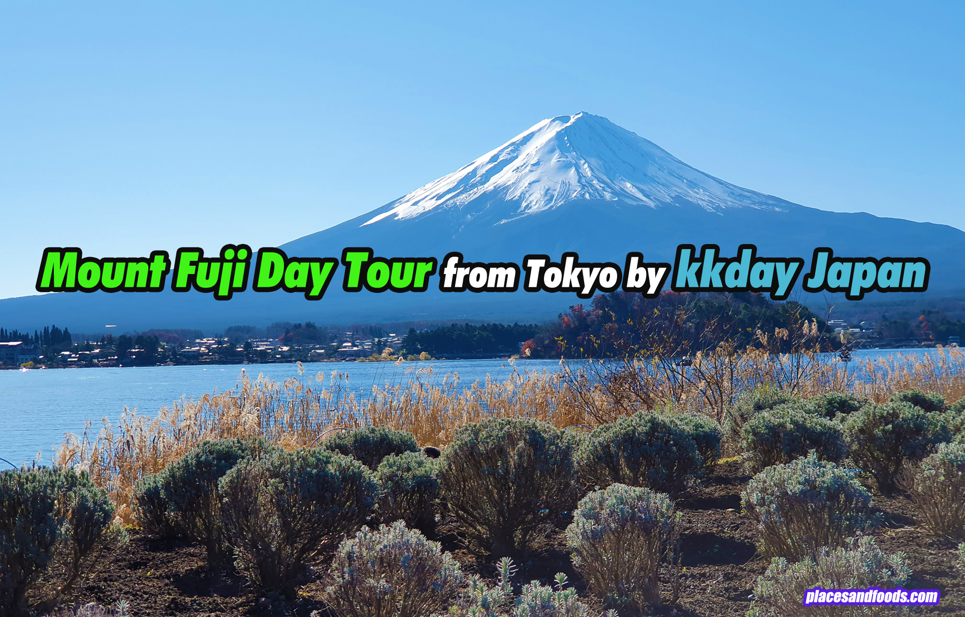 kkday japan day tour